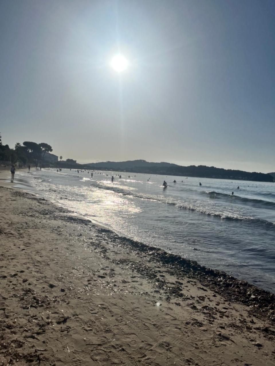 Studio Cosy Avec Terrasse Sur La Plage La Seyne-sur-Mer Eksteriør bilde